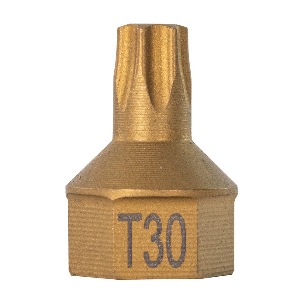 T30 Torx® Dual Drive Bit 1