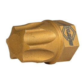 T55 Torx® Dual Drive Bit 2