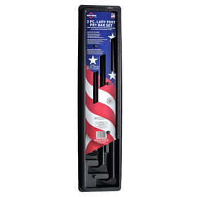 3 PC Ladyfoot Pry Bar Set 2
