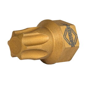 T50 Torx® Dual Drive Bit 2