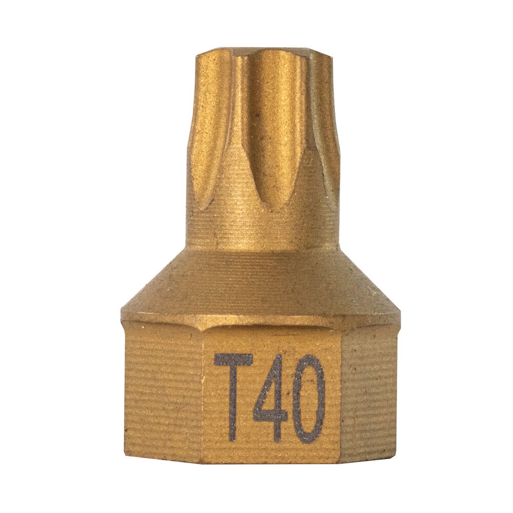 T40 Torx® Dual Drive Bit 1