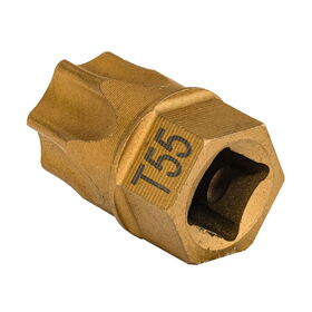 T55 Torx® Dual Drive Bit 3