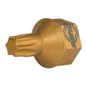T30 Torx® Dual Drive Bit 2