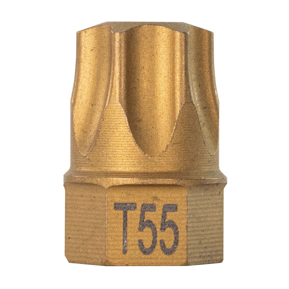 T55 Torx® Dual Drive Bit 1