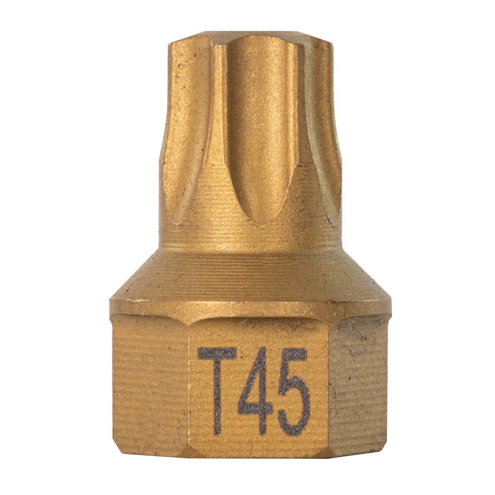 T45 Torx® Dual Drive Bit 1