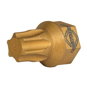 T47 Torx® Dual Drive Bit 2