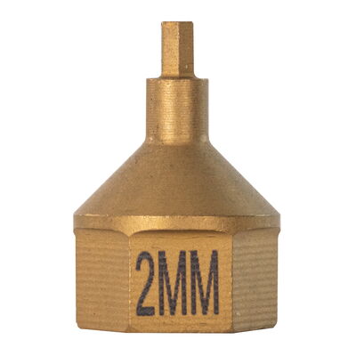 2 MM Hex Dual Drive Bit 1