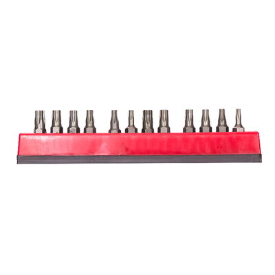 12 PC TORX & TAMPER TORX 1