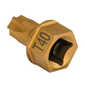 T40 Torx® Dual Drive Bit 3